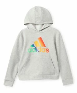 Buy 🌟 Adidas Gray Rainbow Logo Pullover Hoodie - Boys For Kids 🔥