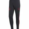 Top 10 🥰 Adidas Bayern Munich Club Crest AeroReady Training Pants - Men ✔️