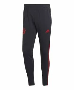 Top 10 🥰 Adidas Bayern Munich Club Crest AeroReady Training Pants - Men ✔️